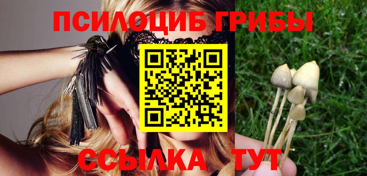 Искитим  Галлюциногенные грибы Magic Shrooms  Вход с VPN  Псилоцибиновые грибы Psilocybine cubensis 